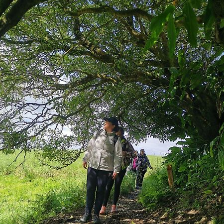 Vila Nikau - Garden By The Sea ラゴア エクステリア 写真
