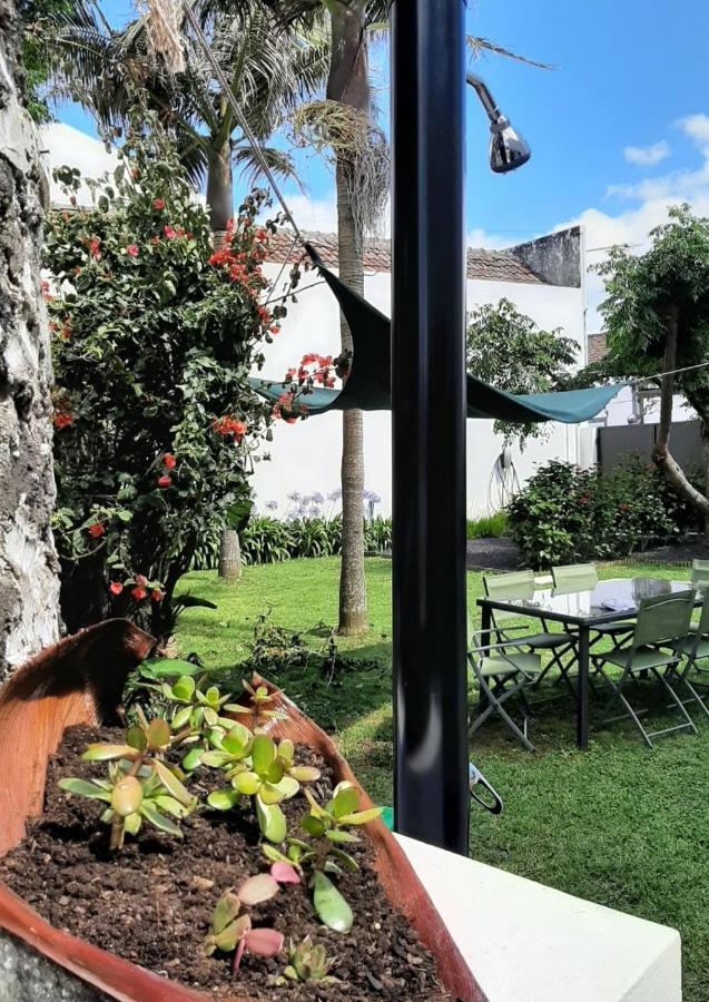 Vila Nikau - Garden By The Sea ラゴア エクステリア 写真