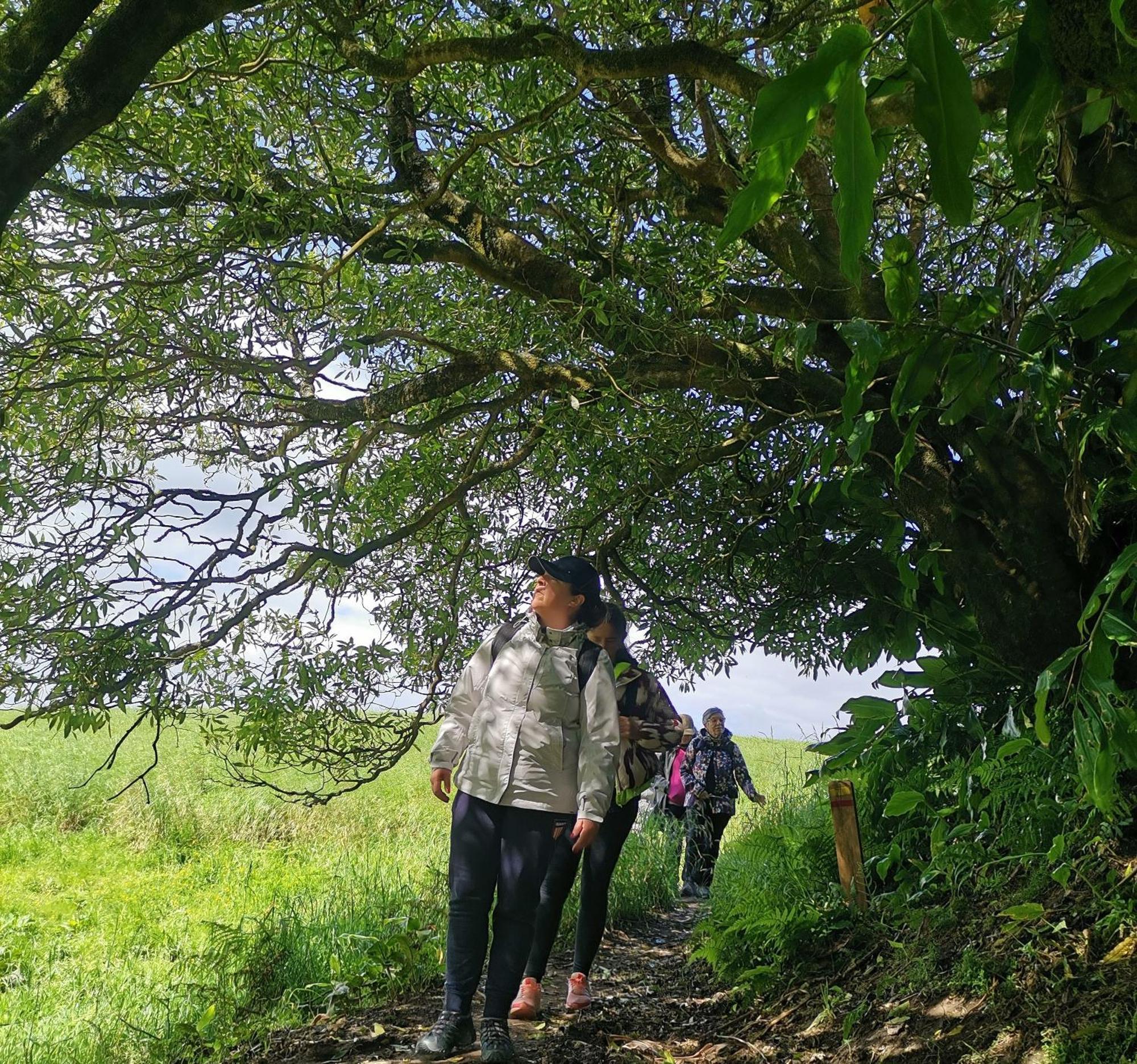 Vila Nikau - Garden By The Sea ラゴア エクステリア 写真